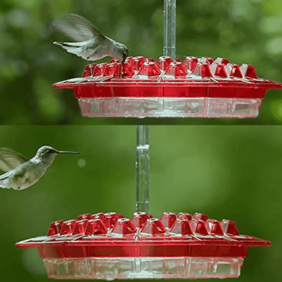 Nutriente per Colibrì Antiproof da Appendere all'Aperto