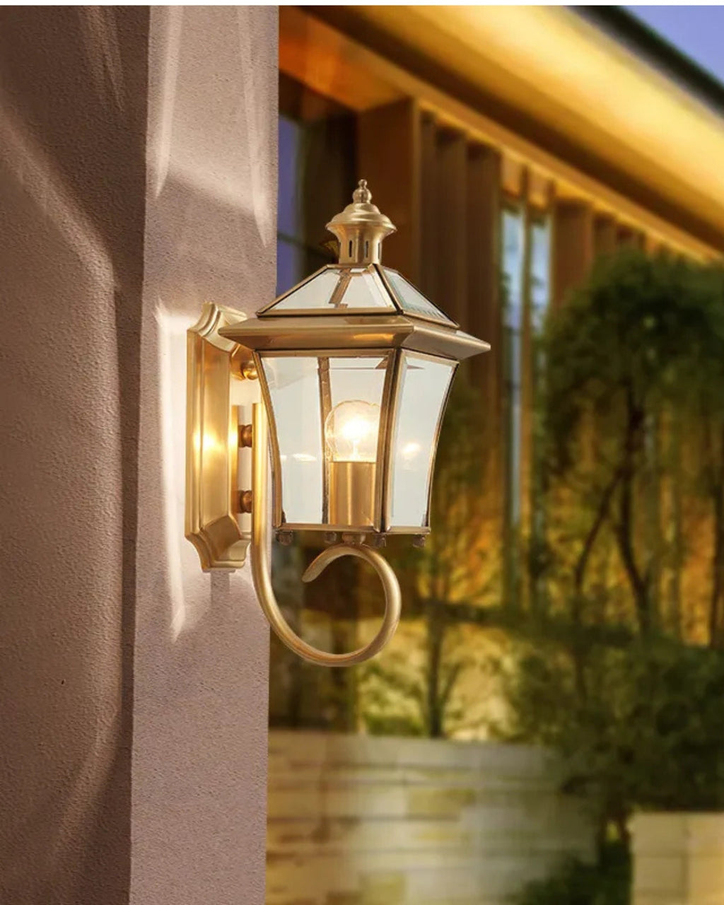 La Luce Dorata