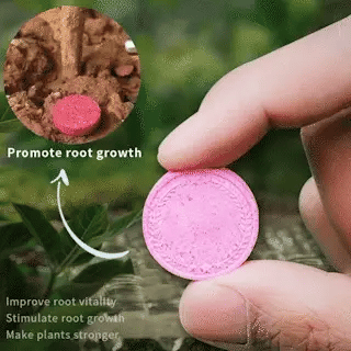(12+12 PZ GRATIS) Fertilizzante Organico Universale a Rilascio Lento per Giardinaggio