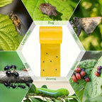 BUGSTRIP – Nastro Barriera Insetti Appiccicoso per Esterni