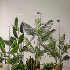 Luce di Crescita per Piante da Interno