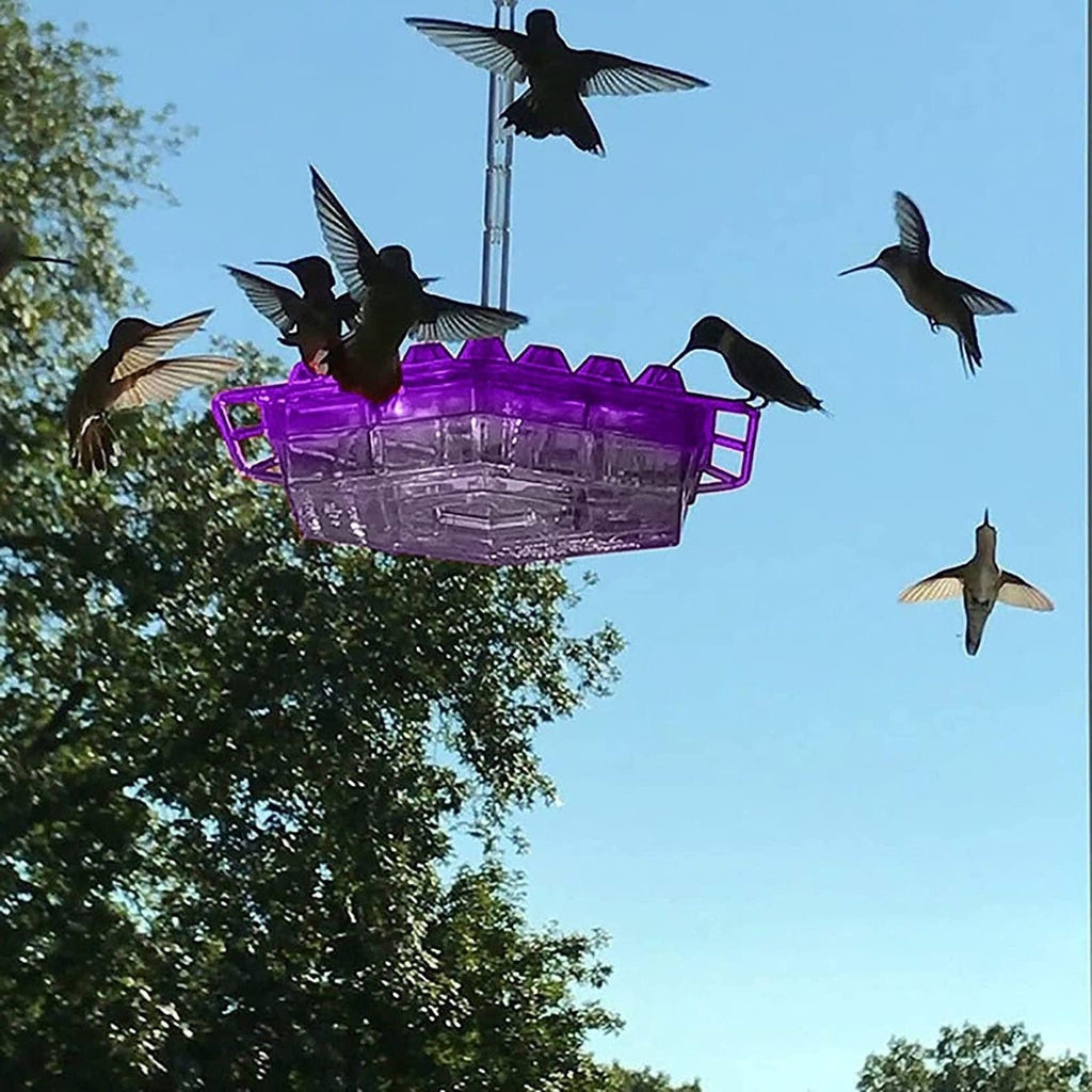Nutriente per Colibrì Antiproof da Appendere all'Aperto