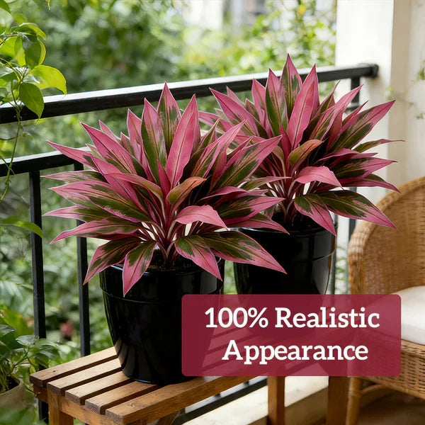 Verdara – Set di piante finte Cordyline vivaci