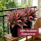 Verdara – Set di Piante Faux Cordyline Vivaci