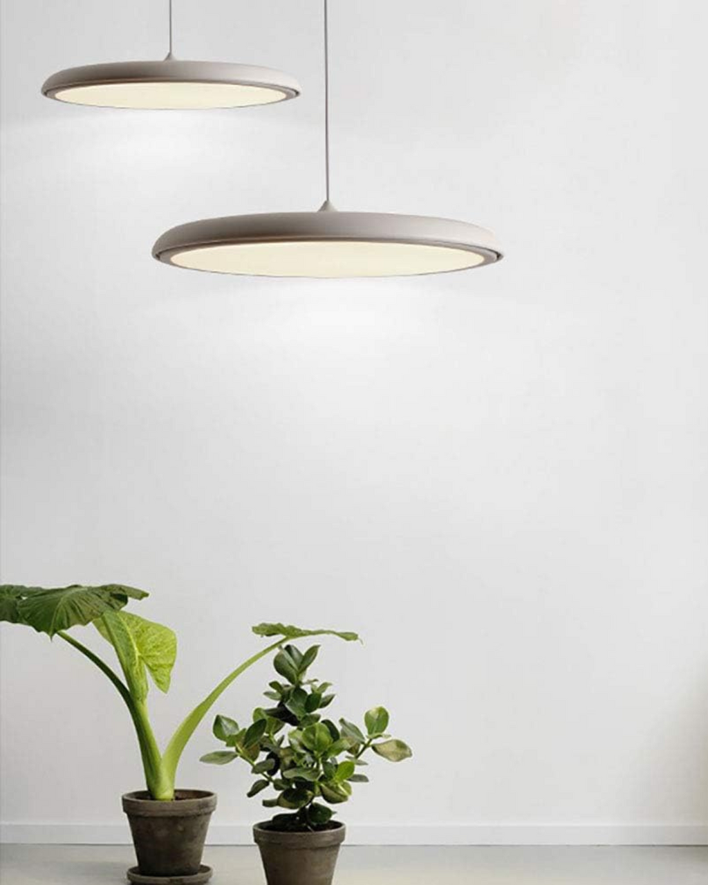 Il Halo Luminoso