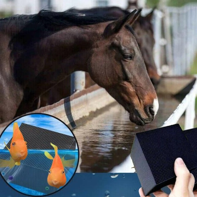 Purificatore d'Acqua Bio Cube per Acquario di Bestiame e Abbeveratoio per Cavalli