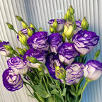 Rosa Eustoma senza spine💐Semi di Lisanthus