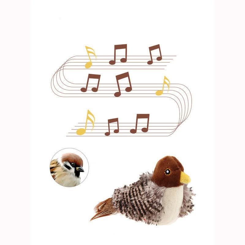Stimola l'istinto naturale del tuo gatto