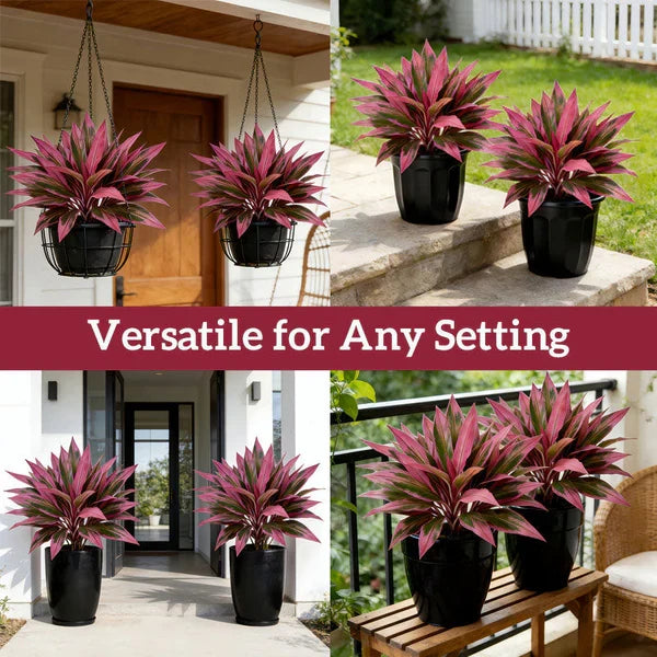 Verdara – Set di Piante Faux Cordyline Vivaci