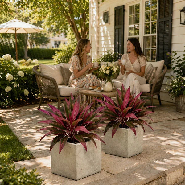 Verdara – Set di Piante Faux Cordyline Vivaci
