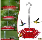 Nutriente per Colibrì Antiproof da Appendere all'Aperto
