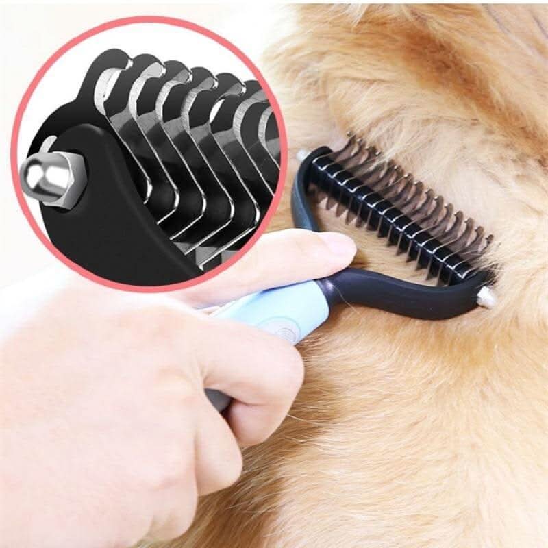 Spazzola: l'accessorio ideale per il tuo animale domestico