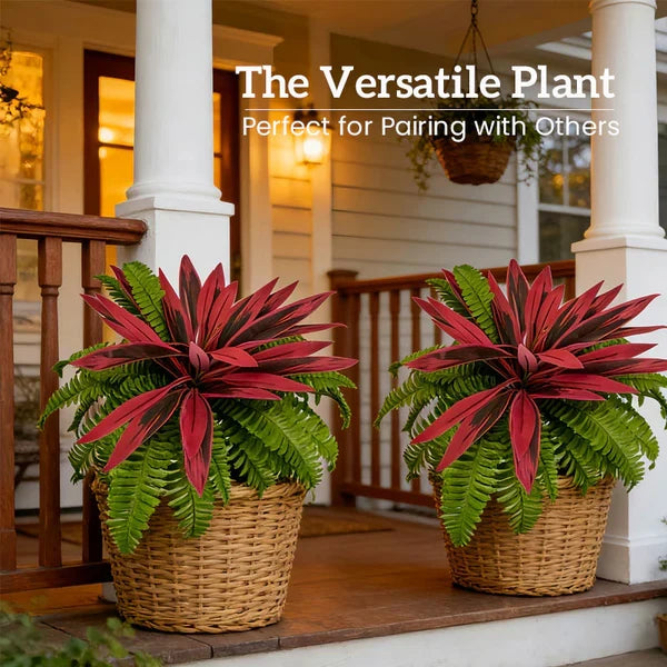 Verdara – Set di Piante Faux Cordyline Vivaci