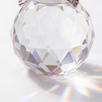 Lumirose – Bouquet di Rose di Cristallo con Vaso