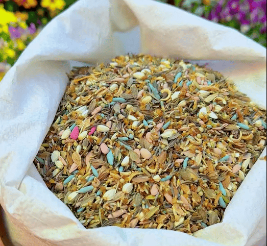 🔥Ultimo giorno di svendita💝Semi di Fiori Perennials Misti - Oltre 30 varietà miste