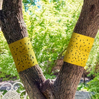 BUGSTRIP – Nastro Barriera Insetti Appiccicoso per Esterni