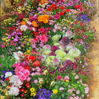 🔥Ultimo giorno di svendita💝Semi di Fiori Perennials Misti - Oltre 30 varietà miste