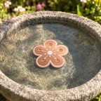 Bloomara – Disco Purificatore per Fontana in Rame Puro, Controllo delle Alghe