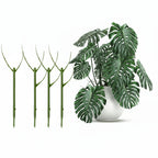 GROWMATE - Set di 3 anelli di supporto per piante impilabili per giardinaggio interno ed esterno
