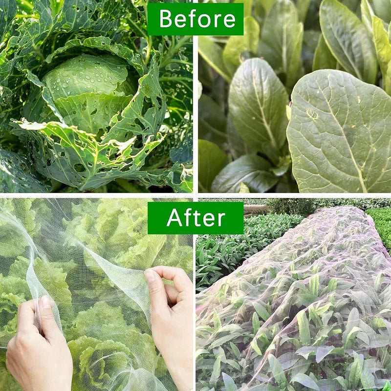 BUGBARRIER – Rete Insetticida in HDPE per Protezione delle Piante Traspirante e Controllo dei Parassiti