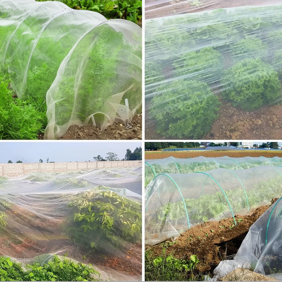 BUGBARRIER – Rete Insetticida in HDPE per Protezione delle Piante Traspirante e Controllo dei Parassiti