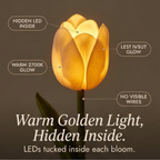 Tulara - Bouquet di Tulipani LED