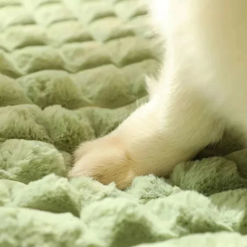 VETNEST - Letto Ortopedico per Animali Domestici con Copertura Lavabile
