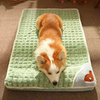 VETNEST - Letto Ortopedico per Animali Domestici con Copertura Lavabile