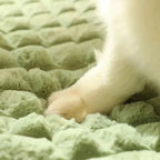PAWSOMNIA Letto Ortopedico per Cani | Rivestimento Rimovibile e Lavabile | Memory Foam | Per Cani e Gatti