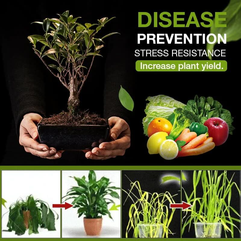 Attivatore naturale del suolo per giardino in 3 giorni