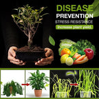 Attivatore naturale del suolo per giardino in 3 giorni