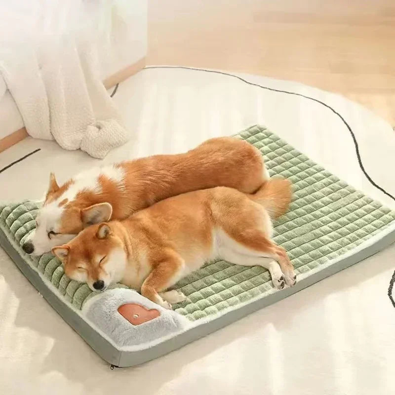 PAWSOMNIA Letto Ortopedico per Cani | Rivestimento Rimovibile e Lavabile | Memory Foam | Per Cani e Gatti