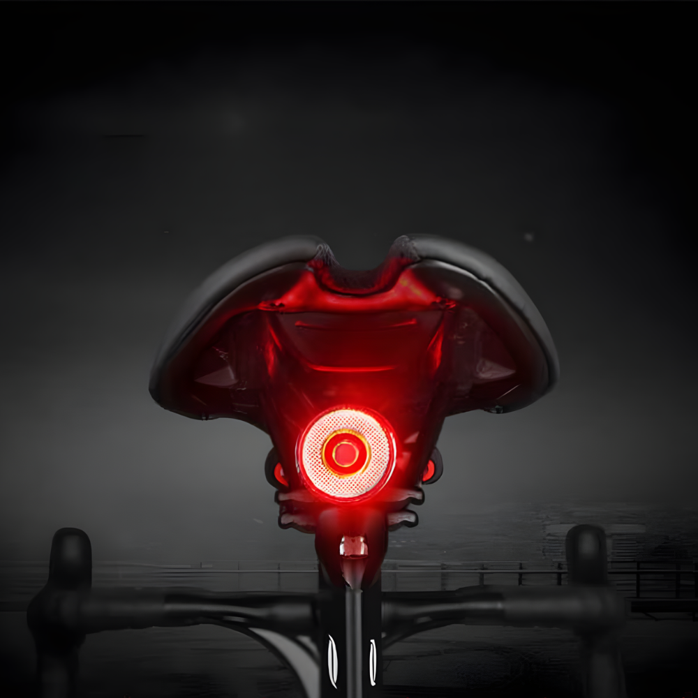 Velaro Luce Posteriore Intelligente per Bicicletta | Luce di Frenata Automatica & Sensore di Luminosità | Ricaricabile USB | Impermeabile IPX4