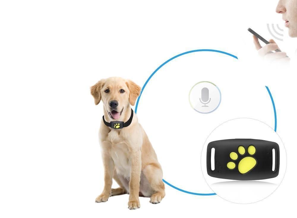 MEOWLOC - Collare GPS per gatti progettato per il monitoraggio della posizione in tempo reale e la sicurezza degli animali domestici