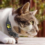 MEOWLOC - Collare GPS per gatti progettato per il monitoraggio della posizione in tempo reale e la sicurezza degli animali domestici