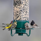 FEEDSAFE – Mangiatore per Uccelli a Prova di Scoiattolo per un'Osservazione degli Uccelli Senza Problemi nel Giardino