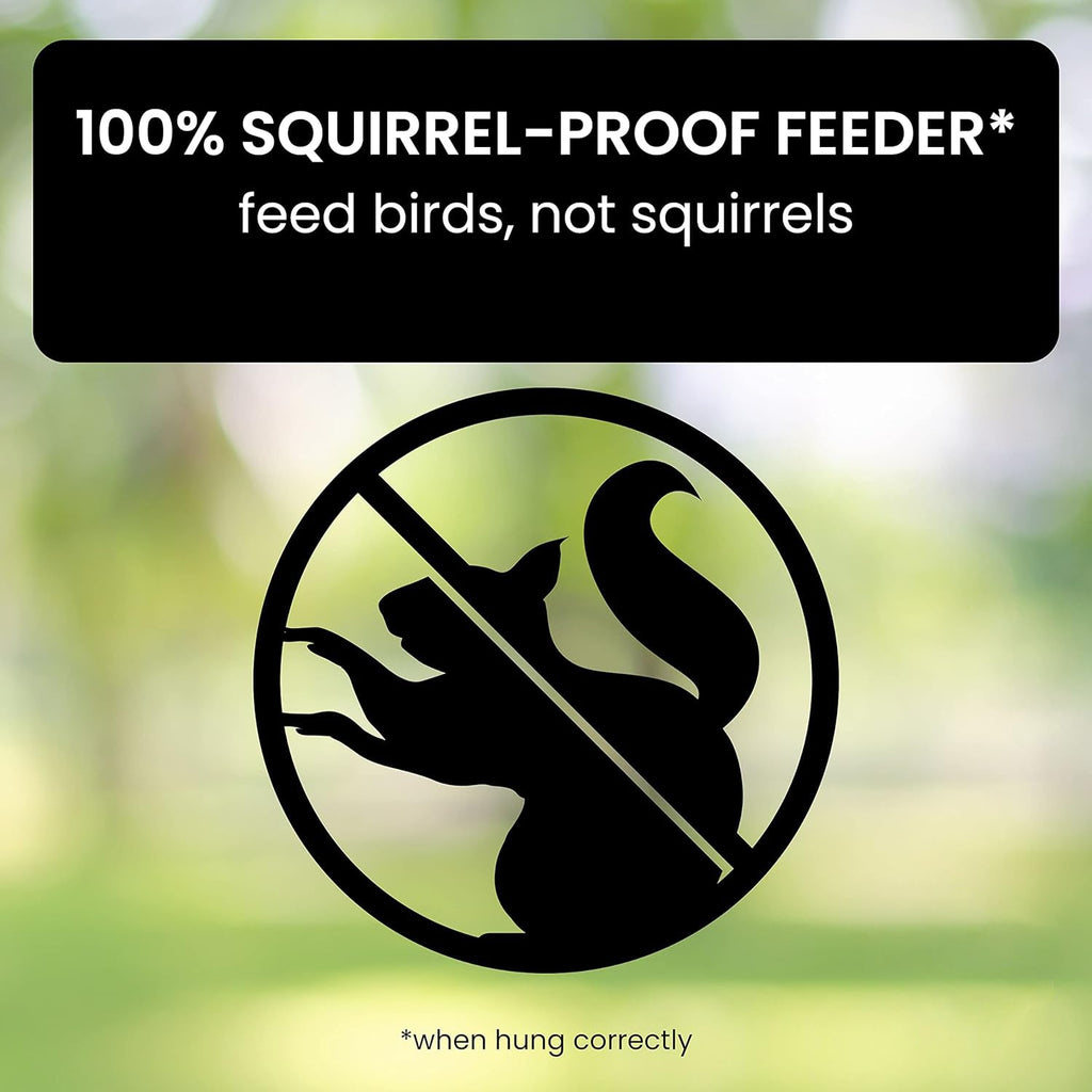 FEEDSAFE – Mangiatore per Uccelli a Prova di Scoiattolo per un'Osservazione degli Uccelli Senza Problemi nel Giardino