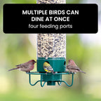 FEEDSAFE – Mangiatore per Uccelli a Prova di Scoiattolo per un'Osservazione degli Uccelli Senza Problemi nel Giardino