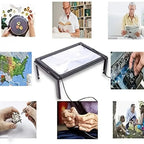 PAGEVIEW - Lente d'ingrandimento pieghevole 3x con luce LED progettata per un supporto alla lettura chiaro e confortevole