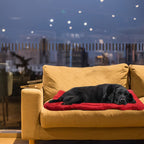 PETVENTURE - Materassino per Cani Pieghevole e Impermeabile per Escursioni e Viaggi 90x60cm