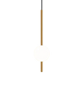 Le Clarté