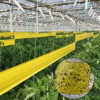 BUGSTRIP – Nastro Barriera Insetti Appiccicoso per Esterni