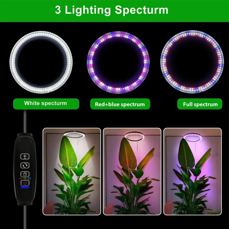 Luce di Crescita per Piante da Interno
