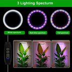 Luce di Crescita per Piante da Interno