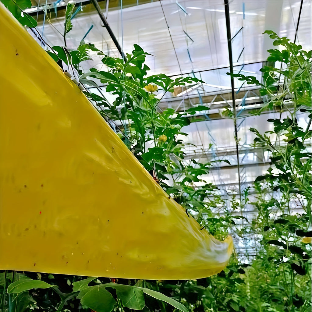 BUGSTRIP – Nastro Barriera Insetti Appiccicoso per Esterni