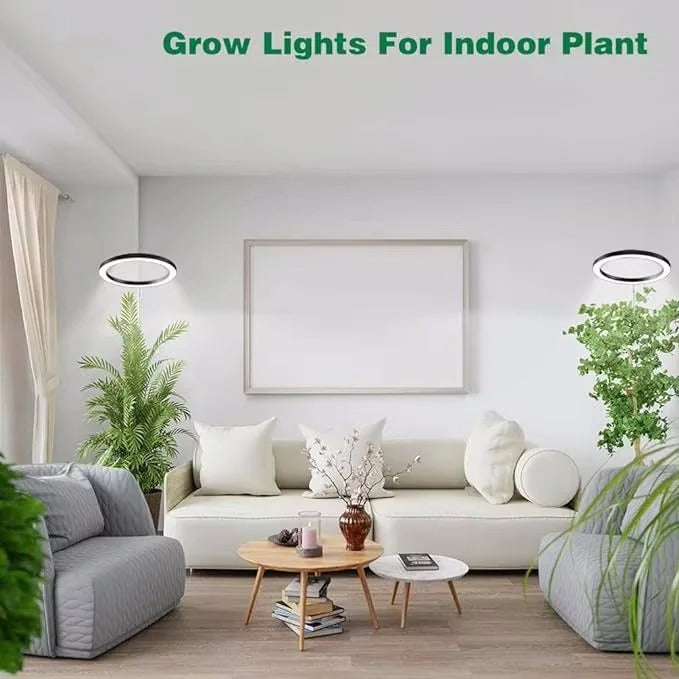 Luce di Crescita per Piante da Interno