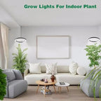 Luce di Crescita per Piante da Interno
