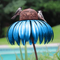Nutribird Coneflower
