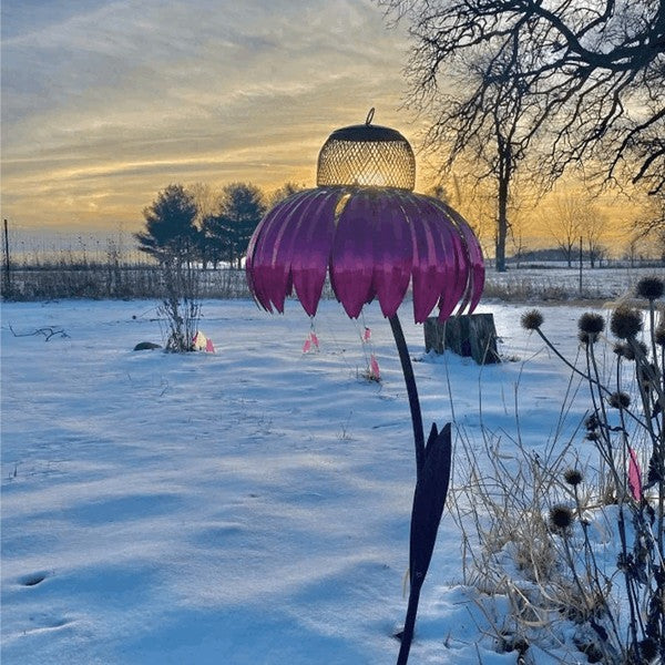 Nutribird Coneflower