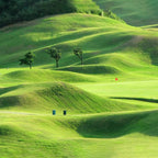 Tappeto di Semi di Erba Verde Quick Fix